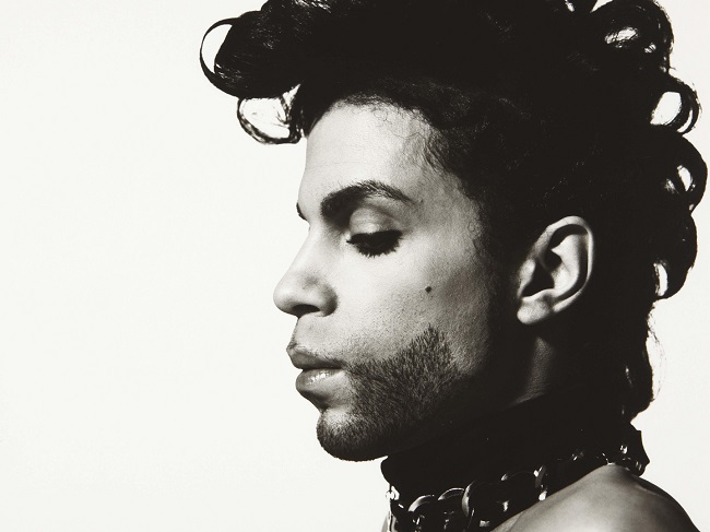 prince500_1