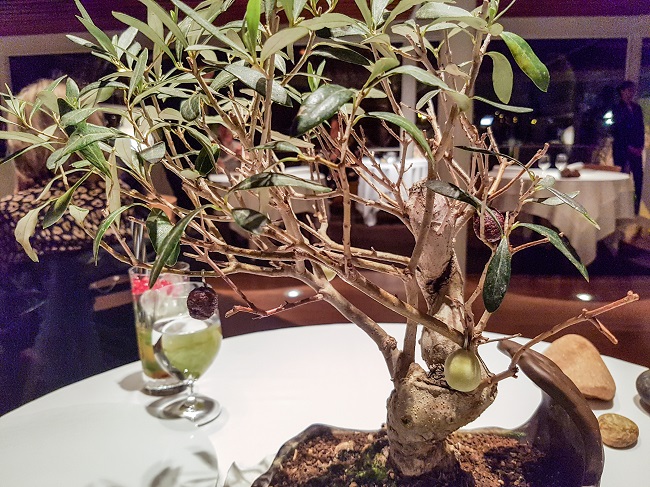 el-celler-de-can-roca-olive-tree-aq
