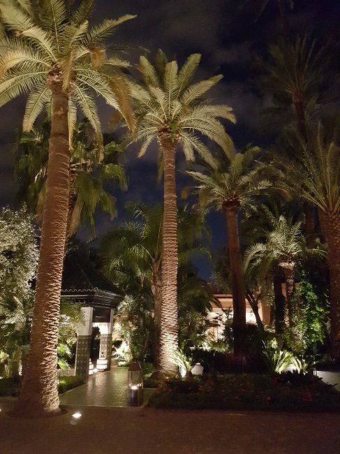 la-mamounia-palmbomen-nacht-1-aq